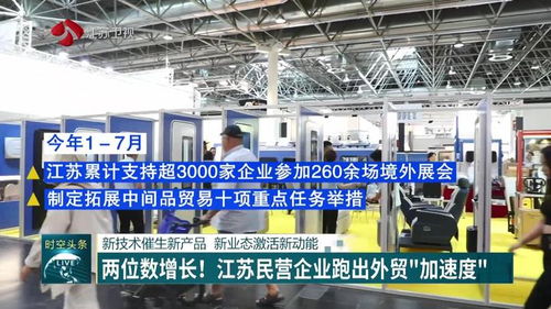 軟件技術(shù)服務(wù) 江蘇民營(yíng)企業(yè)以兩位數(shù)增長(zhǎng)跑出外貿(mào)新動(dòng)能